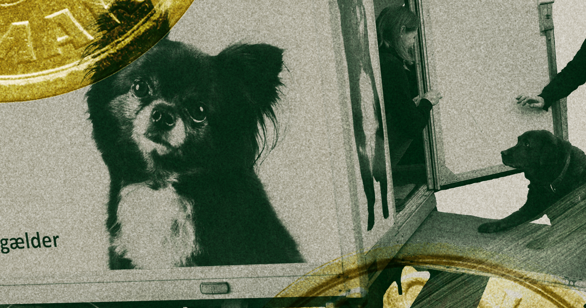 Mobile dyreklinikker tilbyder hjælp til udsatte dyr og mennesker.  Nu er en ny gruppe begyndt at dukke op