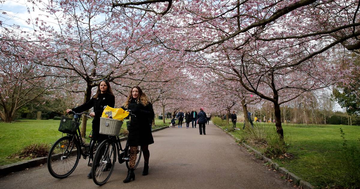 Nej, selvomsorg er ikke en afbudsgrund