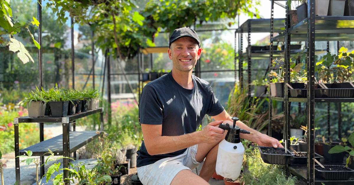 Lars Wildes startede med nogle få frø og endte med en blomstrende have. Her er hans bedste tips til en blomsterhave på budget