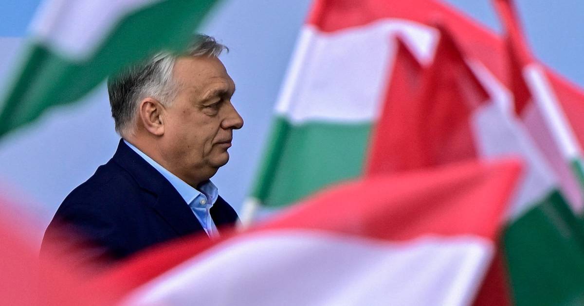Video: Det sker, hvis Orbán bliver væltet