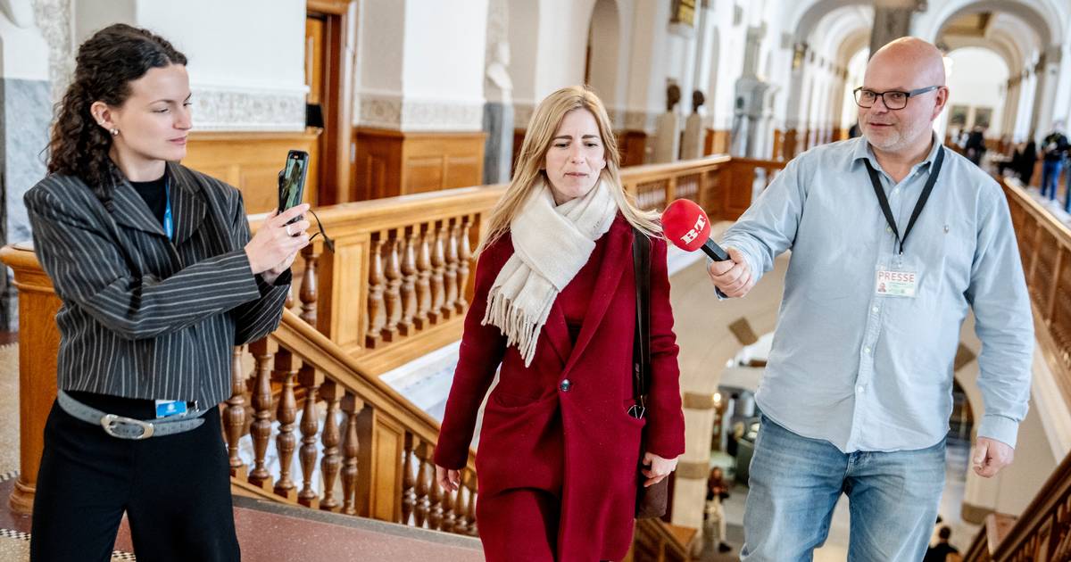 Aktindsigt afslører: Redegørelse om Emilie Schytte efterlader ubesvarede spørgsmål