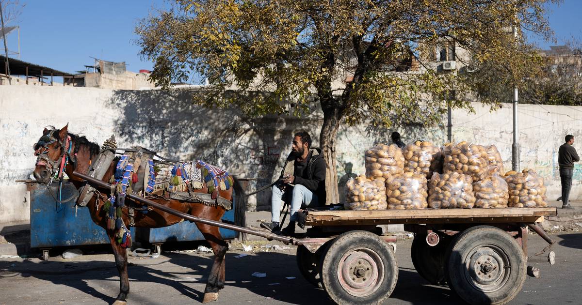 Europa reducerer Syrien til et migrationsproblem