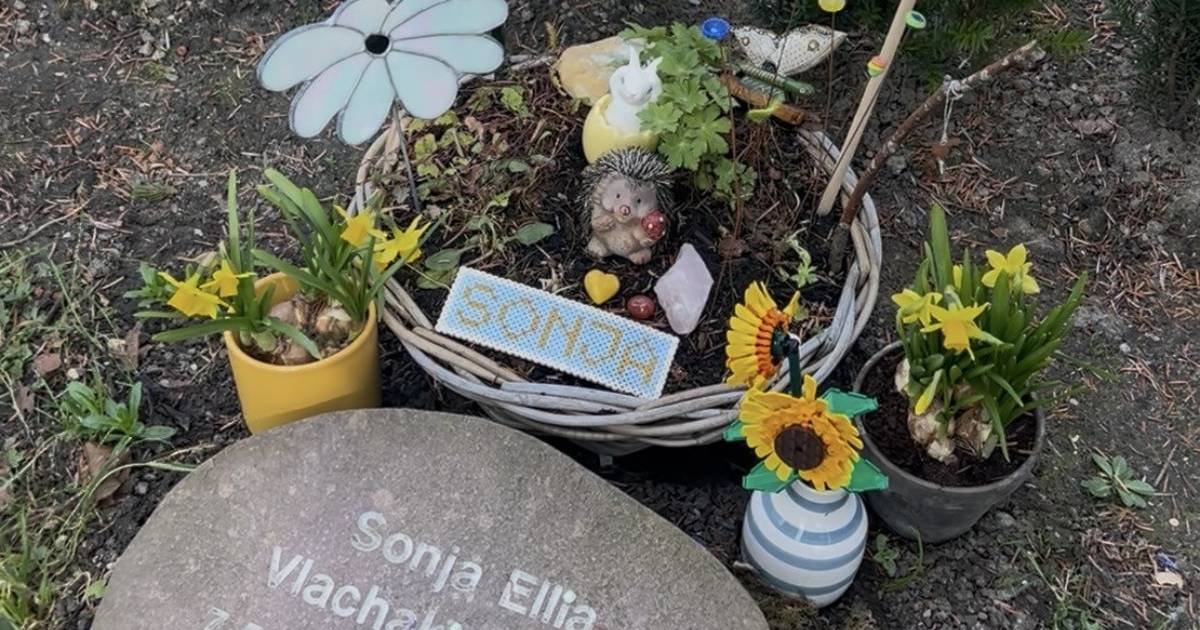Sonjas grav blev ryddet, og Sandra Vlachakis blev »hjerteknust«. Nu beklager kommunen