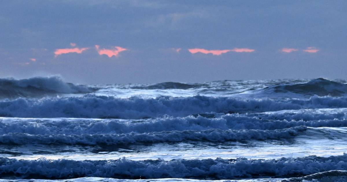 Kraftigt jordskælv: Japan advarer om risiko for tsunami