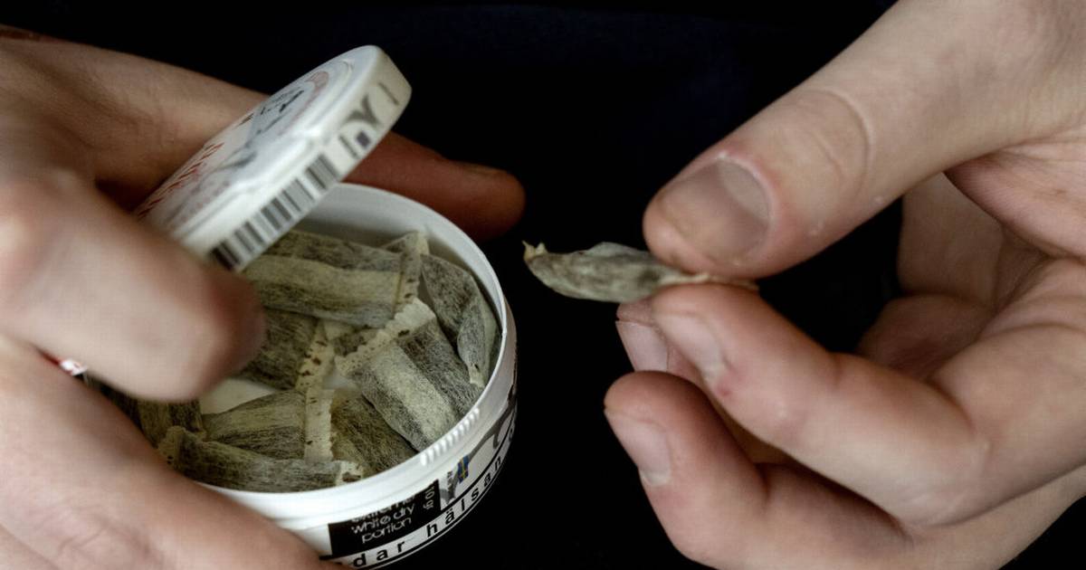Tidlig brug af snus kan påvirke næste generation