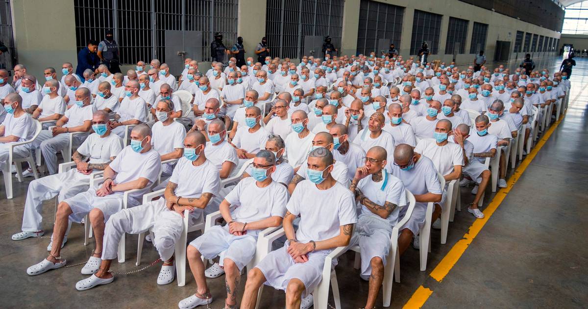 De er mistænkt for 47.000 forbrydelser tilsammen. Nu skal de for retten i samlet flok