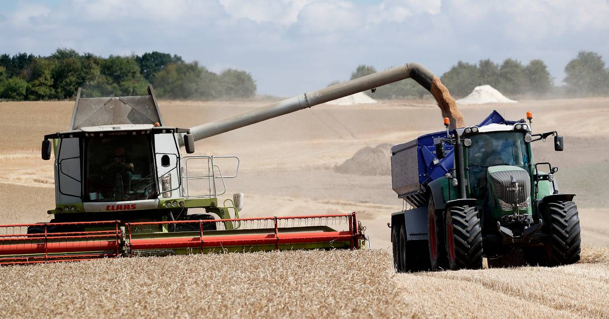 Myndighed mistænker snyd og svindel:  Standser ansøgere fra tre afrikanske lande til job i landbruget