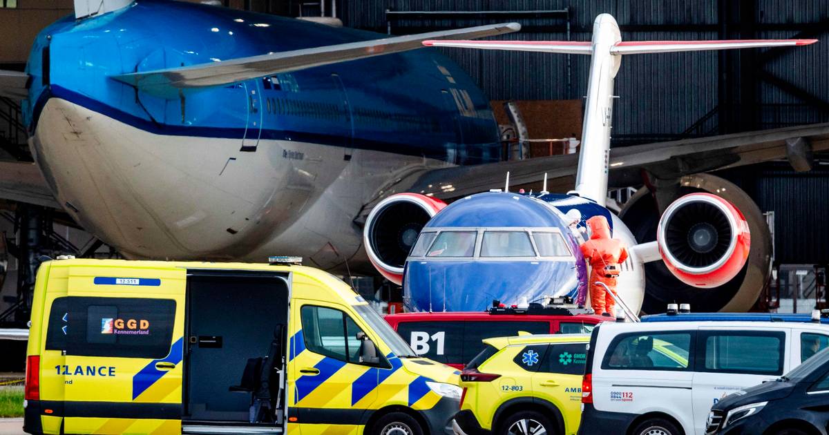 Hantavirus: Stewardesse er indlagt med mulige symptomer efter kort flyophold med smittet
