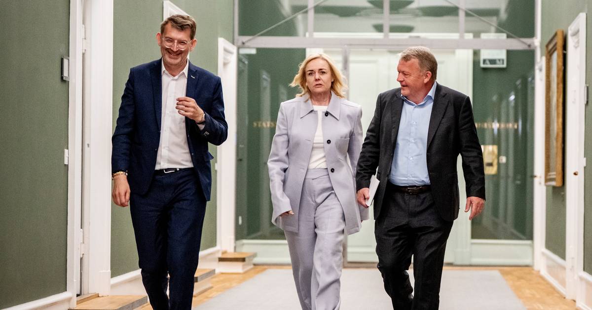 Hvad er sandsynligheden for, at du skal i stemmeboksen igen? Eksperter kommer med deres bud