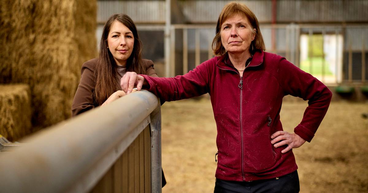 Lokalsamfund har fået en ubuden gæst: »Vi sover med hjertet oppe i halsen«
