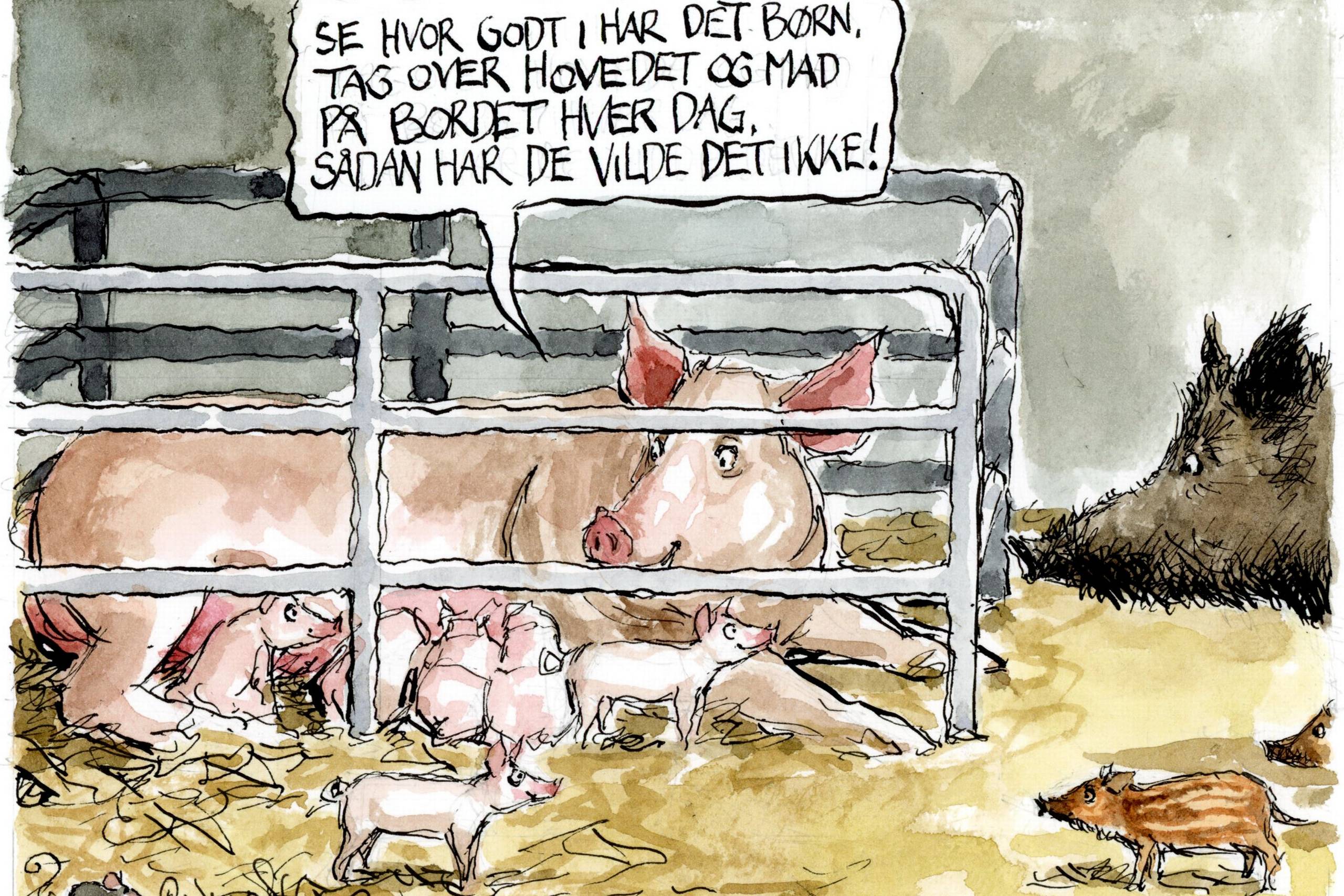 Tegning: Rasmus Sand Høyer