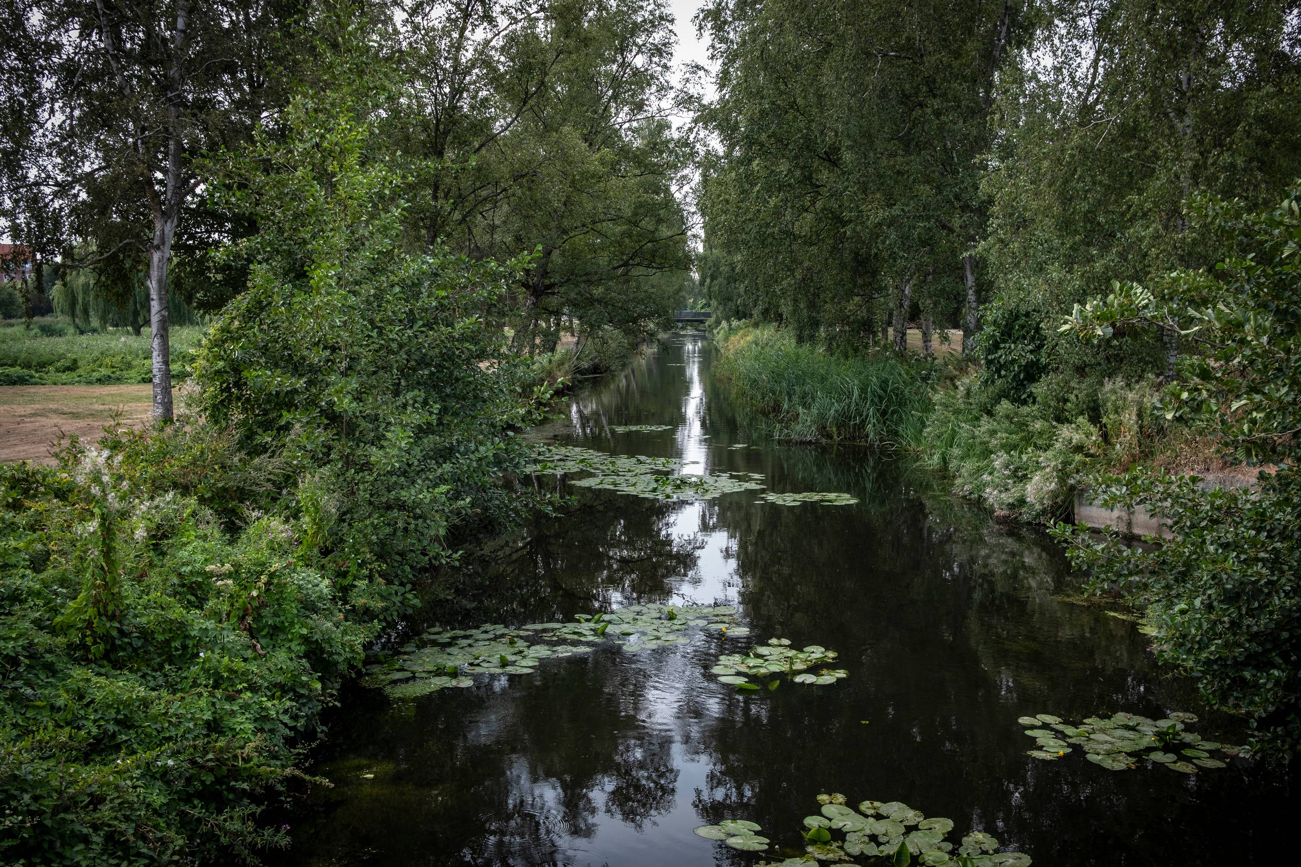 Det er risikofrit at skyde på landbruget. Ja, faktisk er det