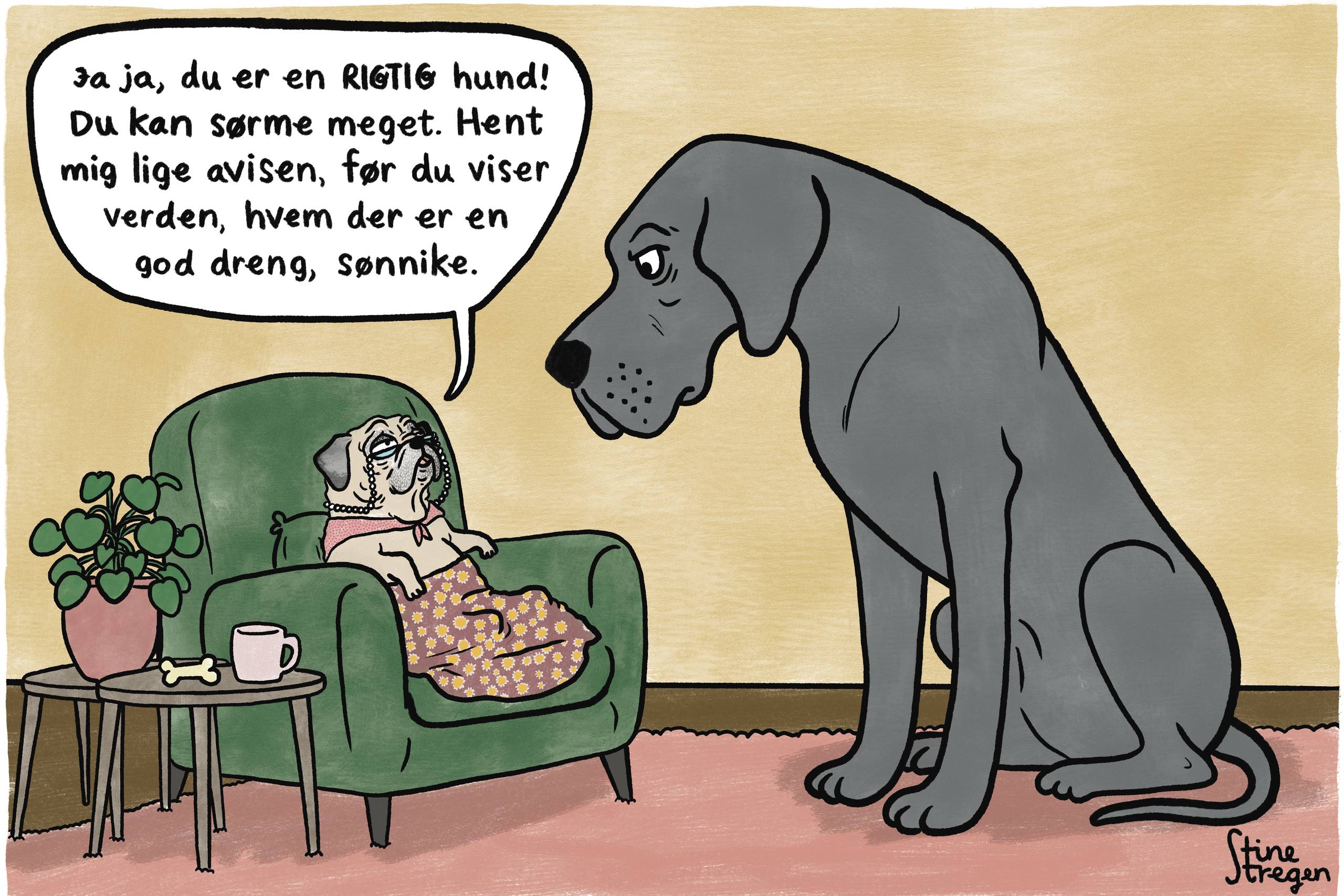 Tegning: StineStregen
