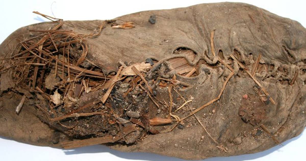 enkemand Elendighed Indrømme Verdens ældste sko er fundet