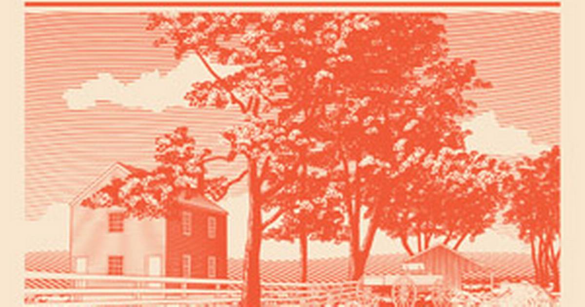 Sherwood Anderson Winesburg Ohio/Patricia Highsmith Hvem er kat