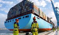 elly mærsk arbejde arbejdere apm container containerskib