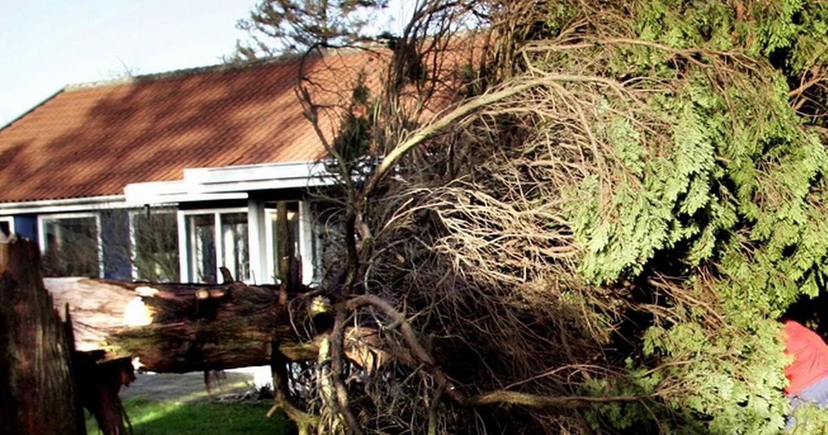 10 Gode Råd Før Og Efter Storm