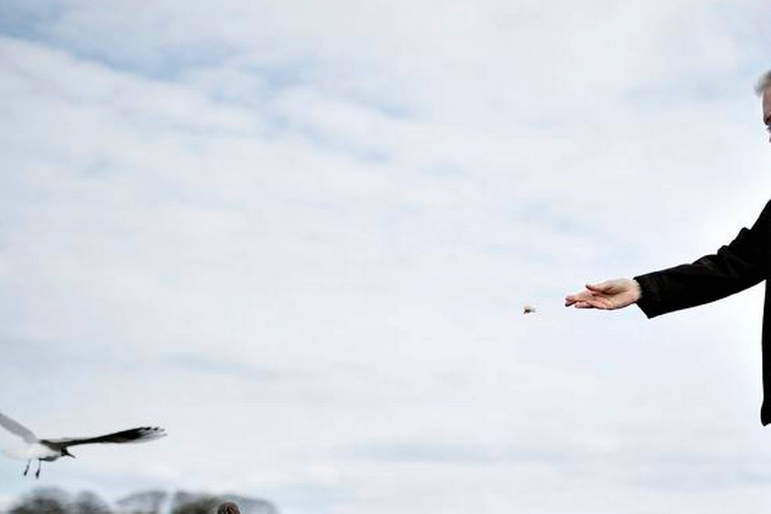 Erling Jepsen hudfletter i sin nye roman "Den sønderjyske farm"den sønderjyske karakter med større overbærenhed og endnu mere underspillet humor end nogensinde.