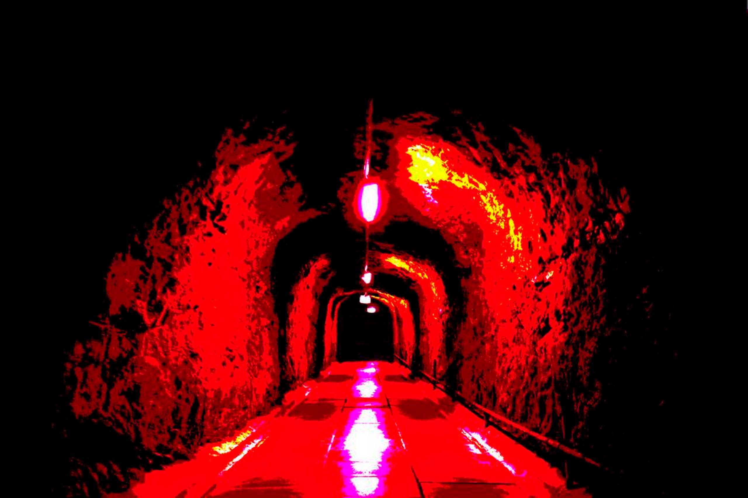 Illustration: Annelise Ploug