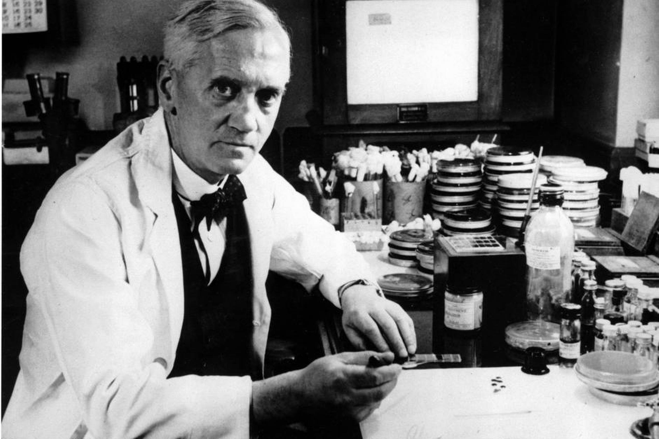 Alexander Fleming, manden bag penicillinet, fotograferet i 1952. Foto: AP