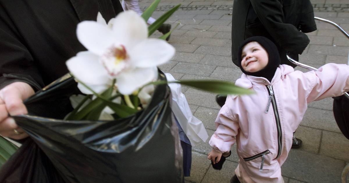 Børnefamilier med høj indkomst skal betale mere i skat