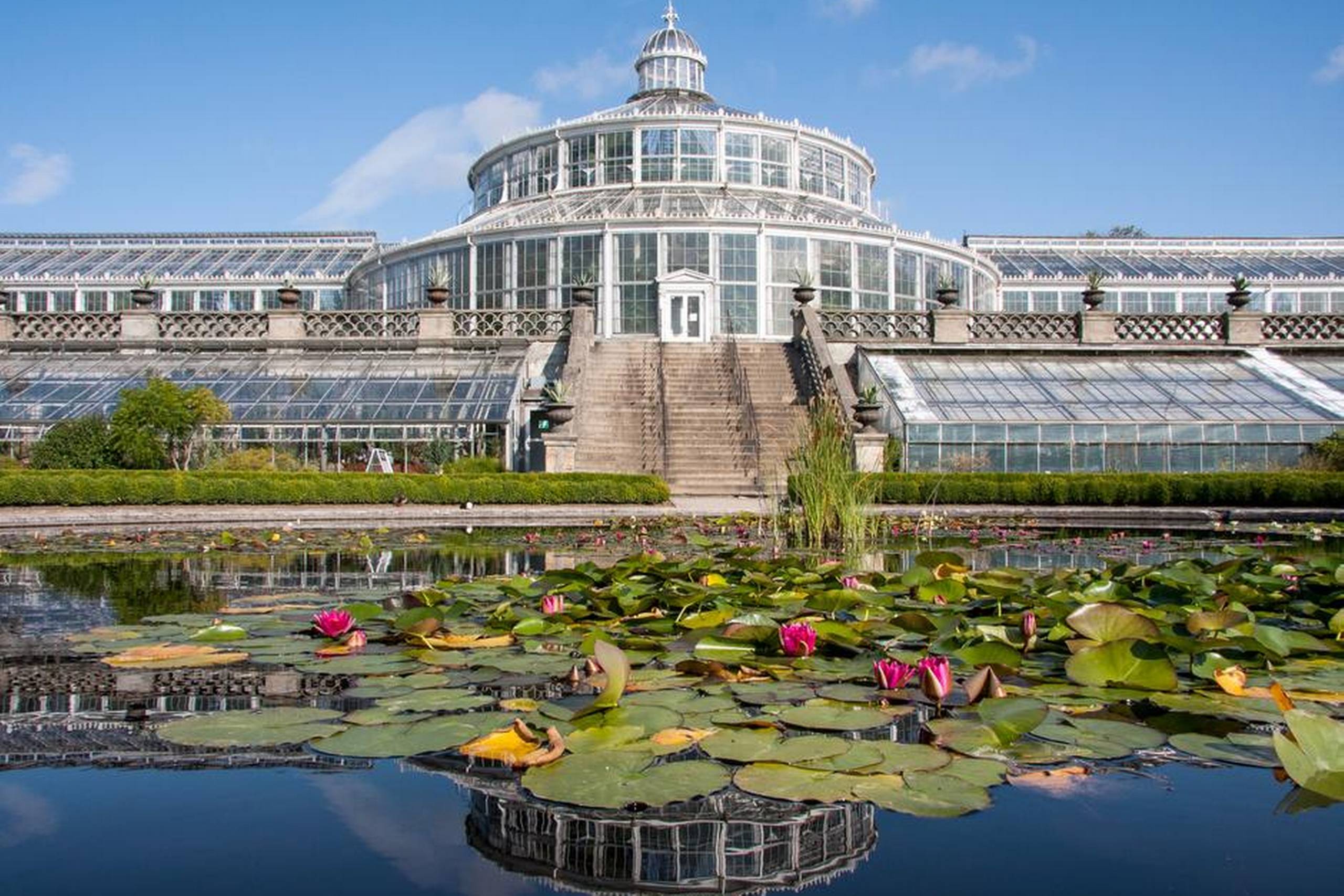 Palmehuset i Botanisk Have. De 94 m lange væksthuse er opført i perioden 1872-1874 i støbejern og glas på basis af et udkast fra Carlsbergs stifter, J.C. Jacobsen. Foto: Jens Astrup, Statens Naturhistoriske Museum