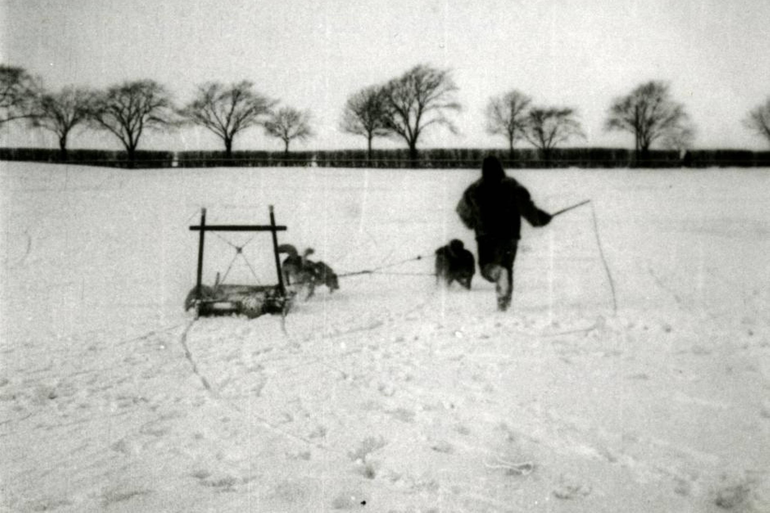 Stillbilleder fra Elfelts film ”Slædekørsel med grønlandske hunde” fra 1897, da filmkameraets historie var mindre end 10 år lang. I 1888 optog den franske opfinder Louis le Prince (1841- 1890) i Amerika som den første en film. Brødrene Lumières kamera Domitor blev bygget i 1894 af Charles Moisson, der arbejdede på deres virksomhed i Lyon. Fotos: Det Danske Filminstitut 