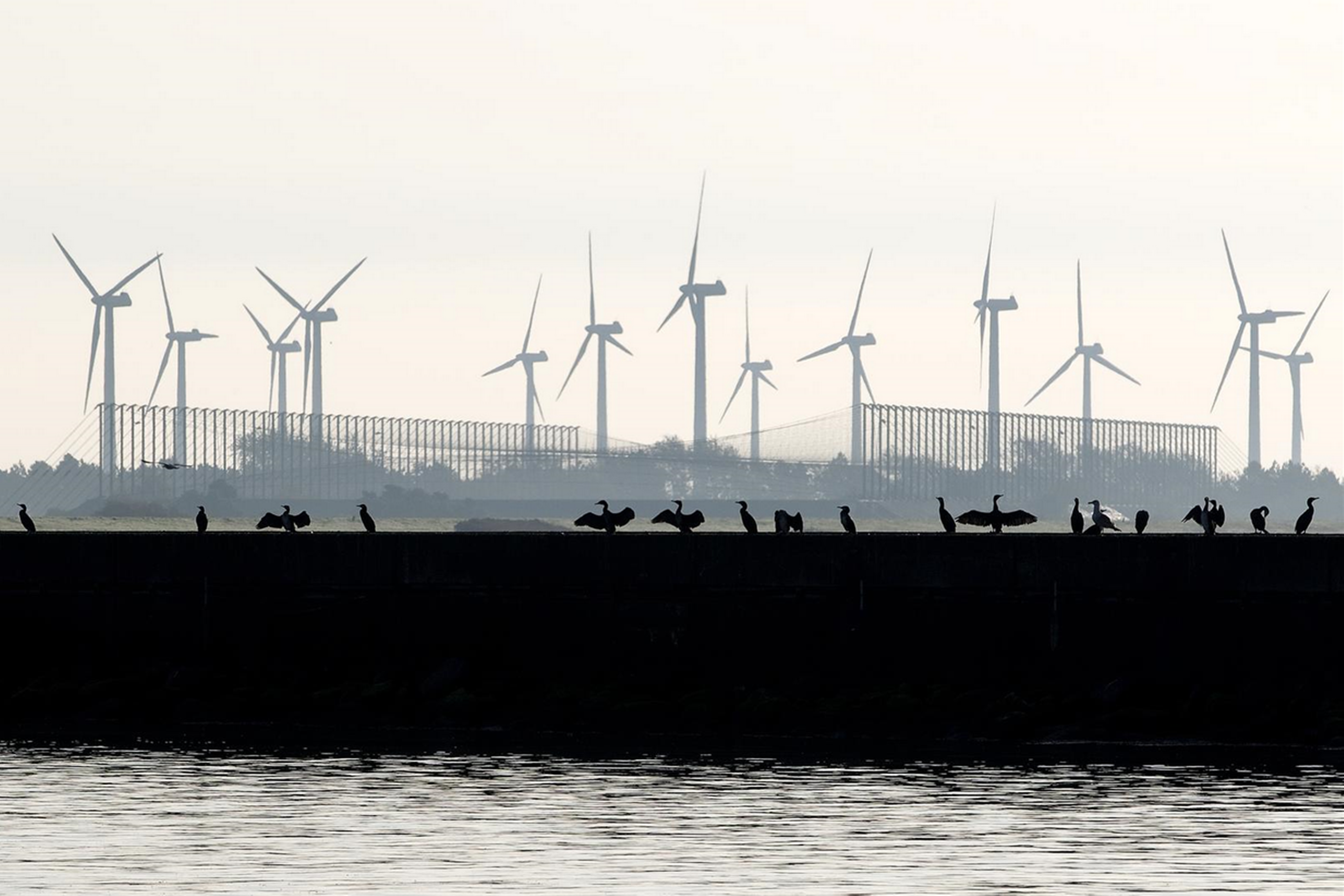 »For mig at se er der ingen tvivl om, at en havvindmøllepark placeret langt ude på havet vil være en langt bedre løsning,« siger Lars Christian Lilleholt, der også hæfter sig ved den visuelle gevinst ved havvindmøller, der ikke kan ses fra land. Arkivfoto: Finn Frandsen