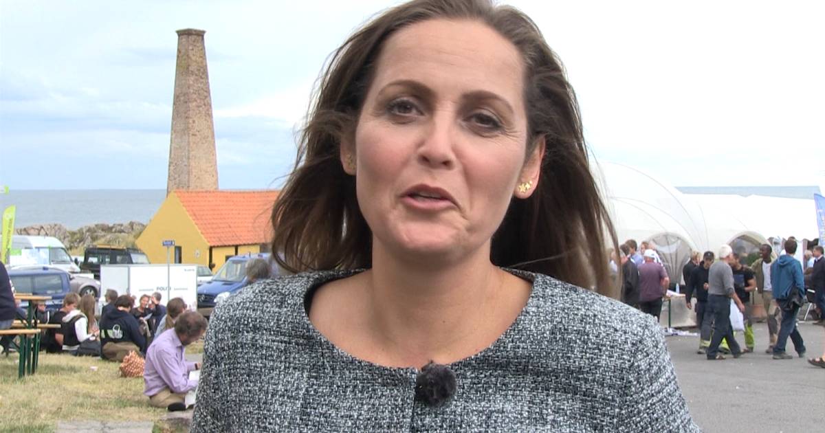 Pia Olsen Dyhr Udskudt folkeafstemning er fornuftig