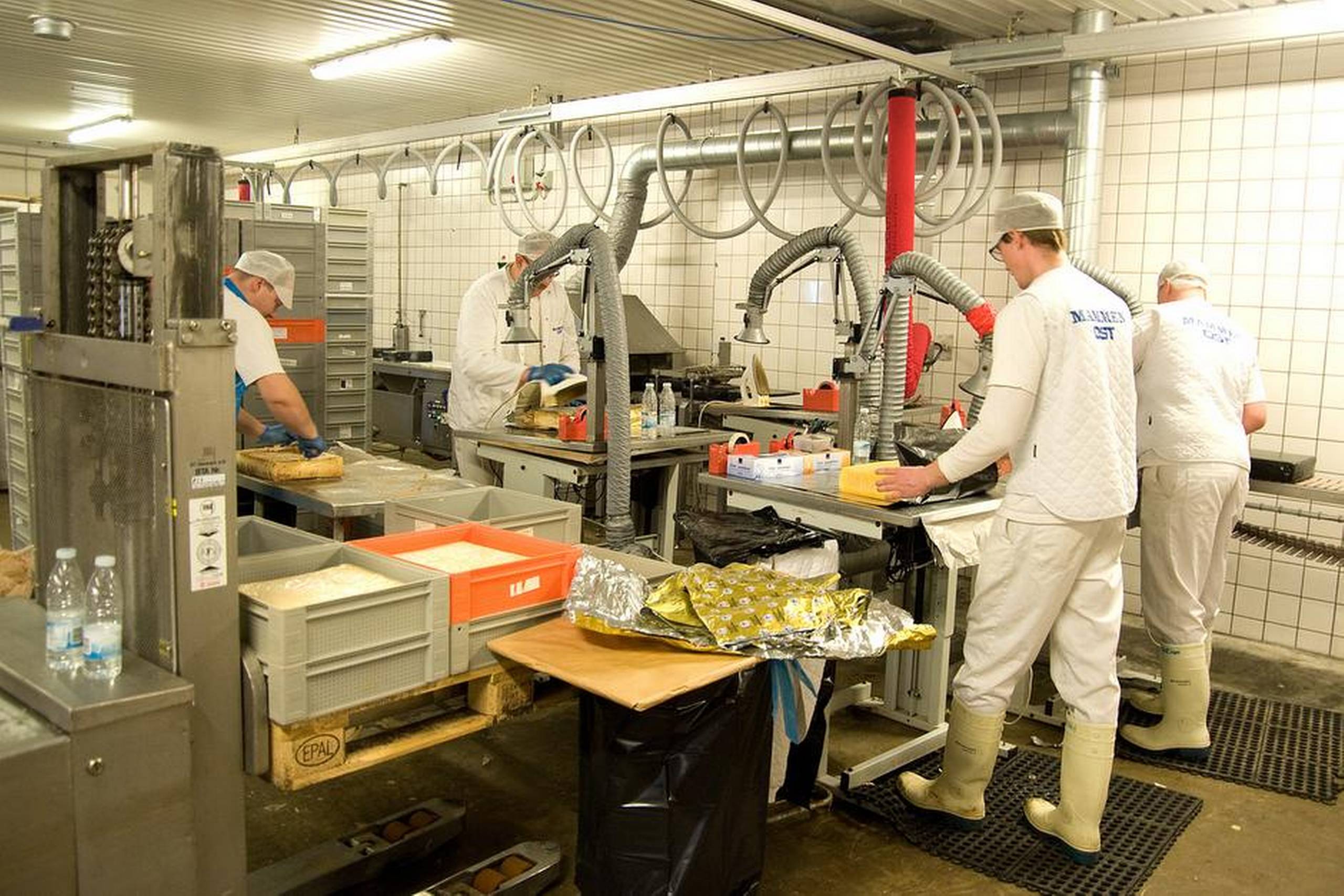 Mammen Mejeri påvirkes både direkte og indirekte af Ruslands boykot af mælkeprodukter fra EU. Arkivfoto