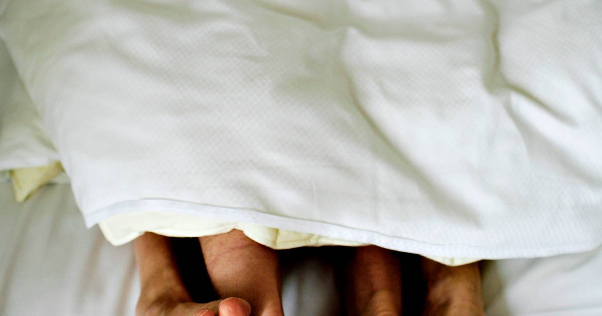 Tysk etisk råd vil lovliggøre sex mellem søskende - Jyllands-Posten