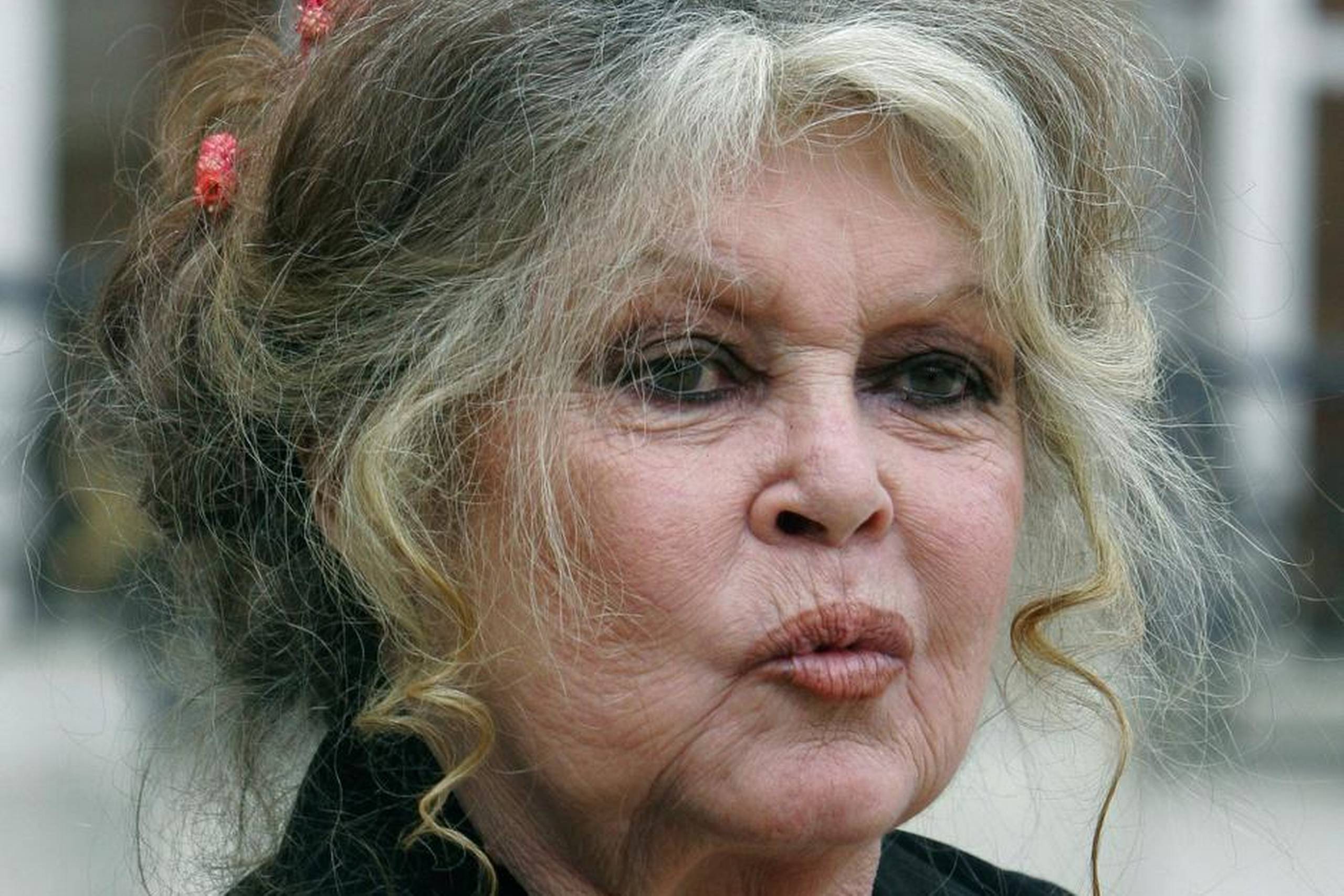 Brigitte Bardot fik international stjernestatus med hovedrollen i ægtemanden Roger Vadims film ”Gud skabte kvinden” fra 1956. Foto: Jacques Brinon/AP