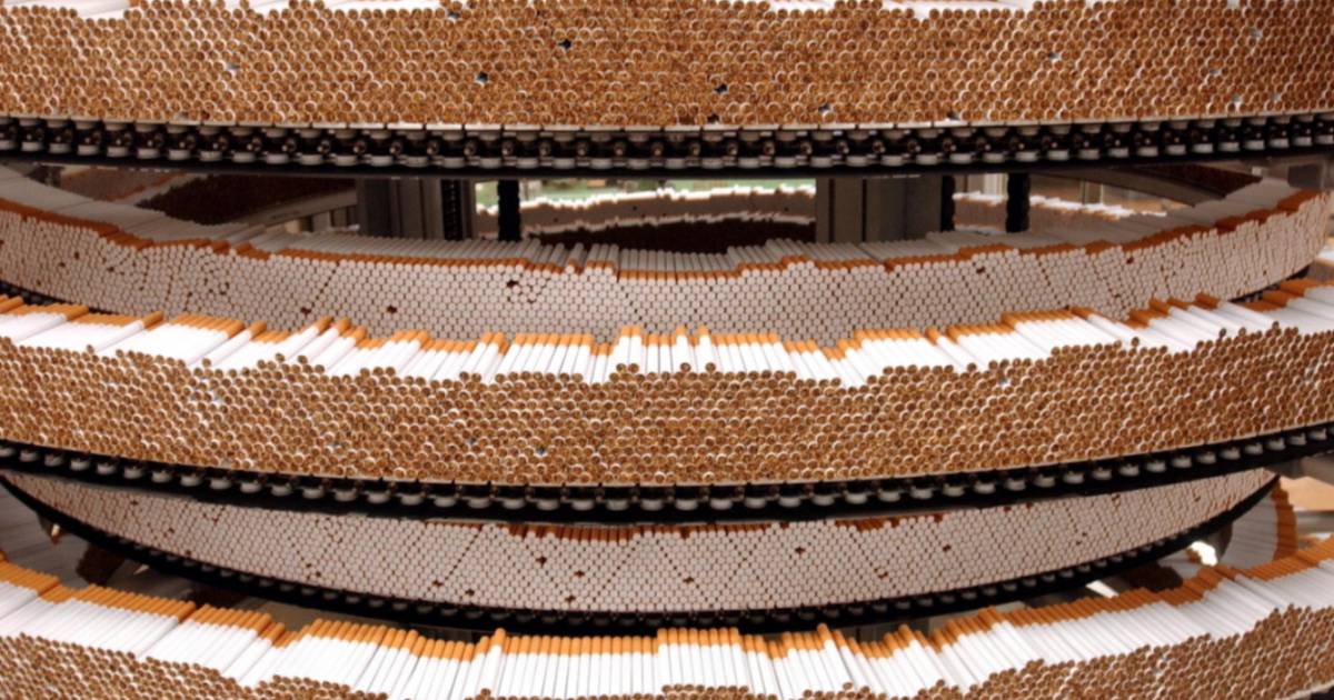 Britisk tobaksproduktion går op i røg