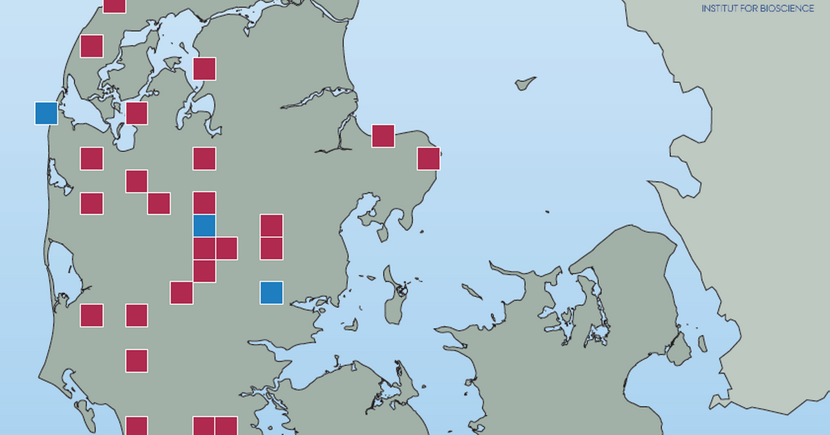 Nyt kort over dokumenterede ulveobservationer - Jyllands-Posten