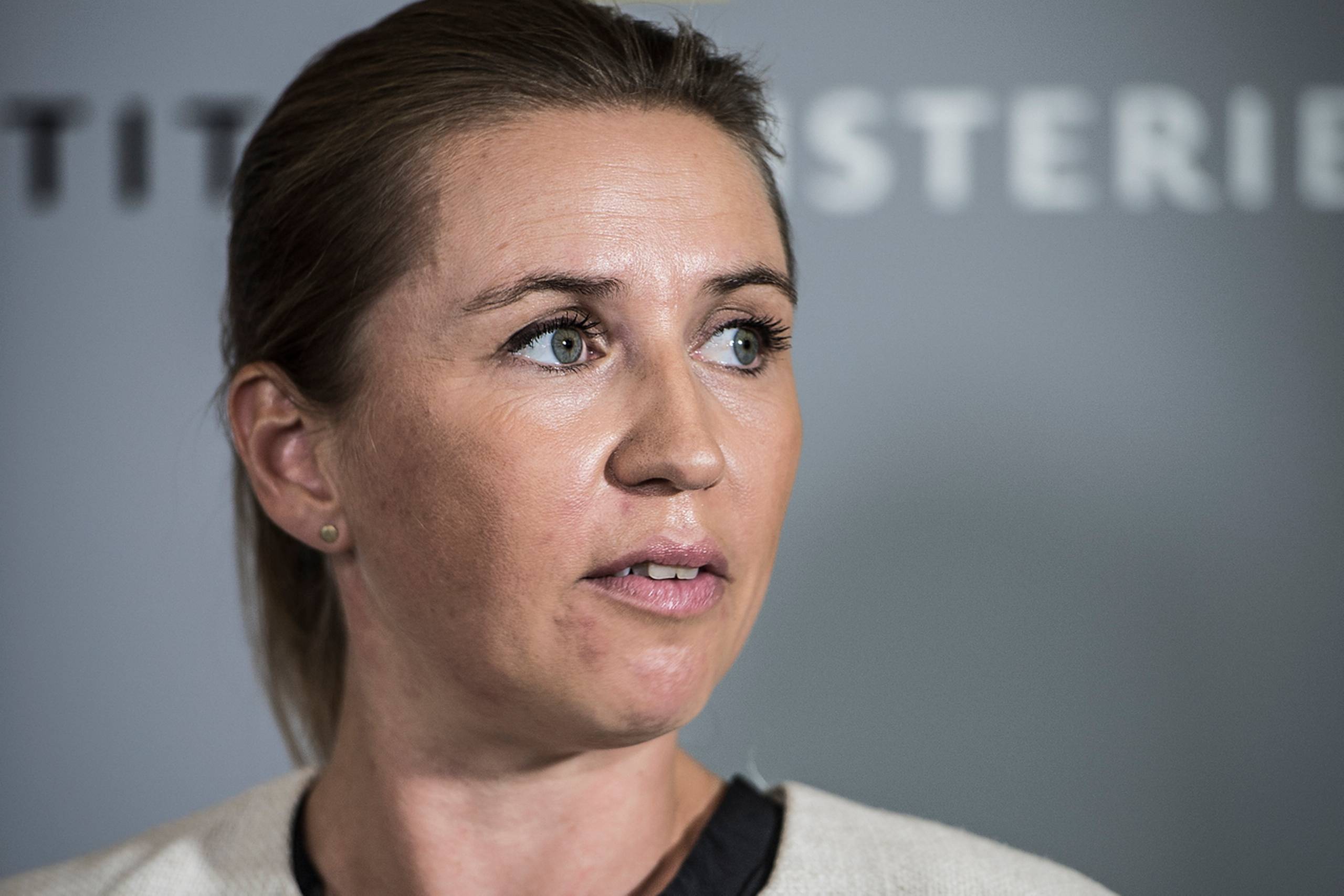 Justitsminister Mette Frederiksen (S) peger på, at regeringen har øget indsatsen mod social dumping og er på trapperne med et lovforslag om øget politikontrol i grænseområderne.