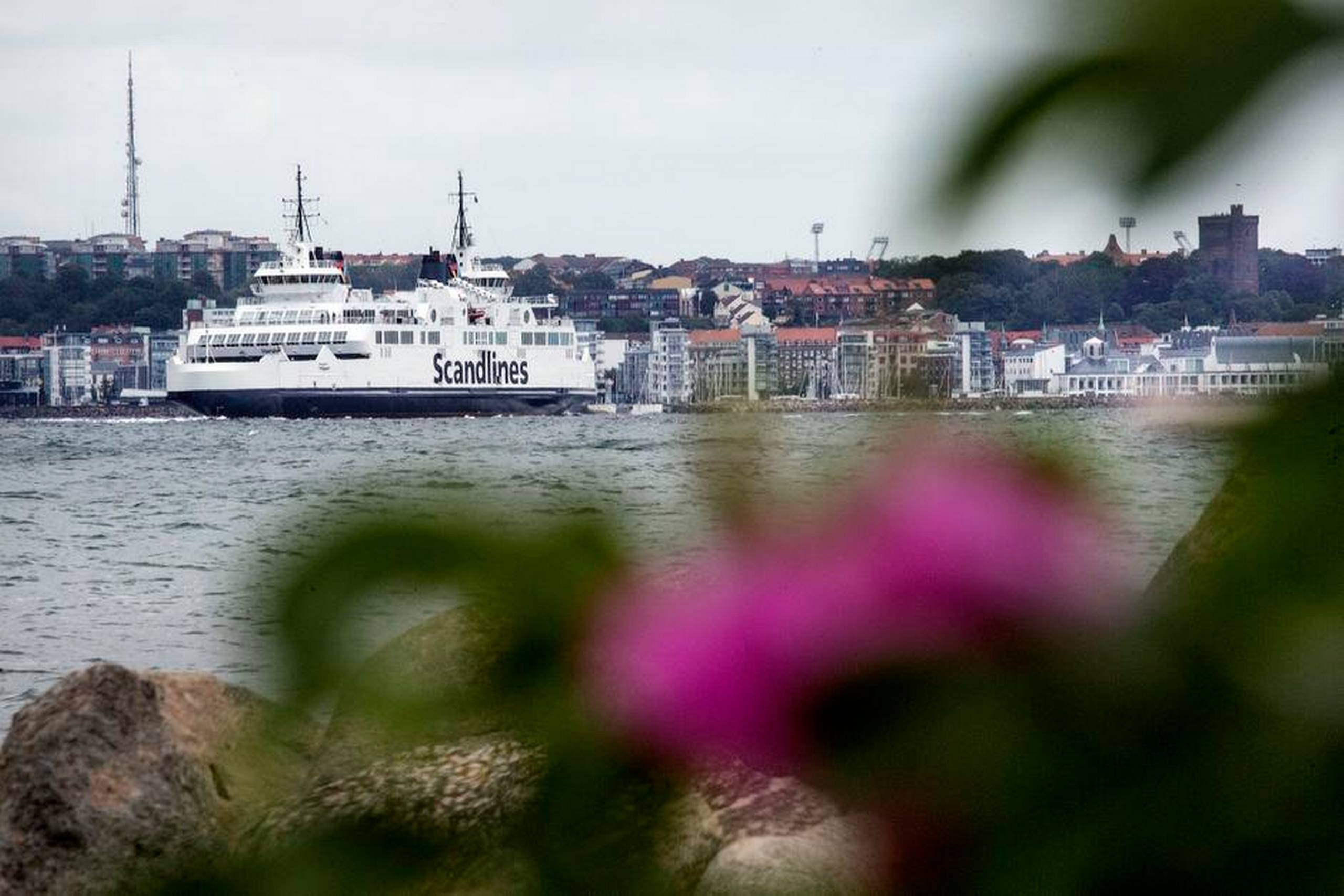 Helsingør og Helsingborg kommuner har sammen hyret lobbybureauer for at presse på for en tunnel under Øresund på dette sted. De vil altså have, at man ikke bare skal kunne krydse ved Malmø/ Amager, men også ved Helsingør/ Helsingborg. Her udsigten mod Helsingborg fra Kronborg. Foto: Stine Bidstrup