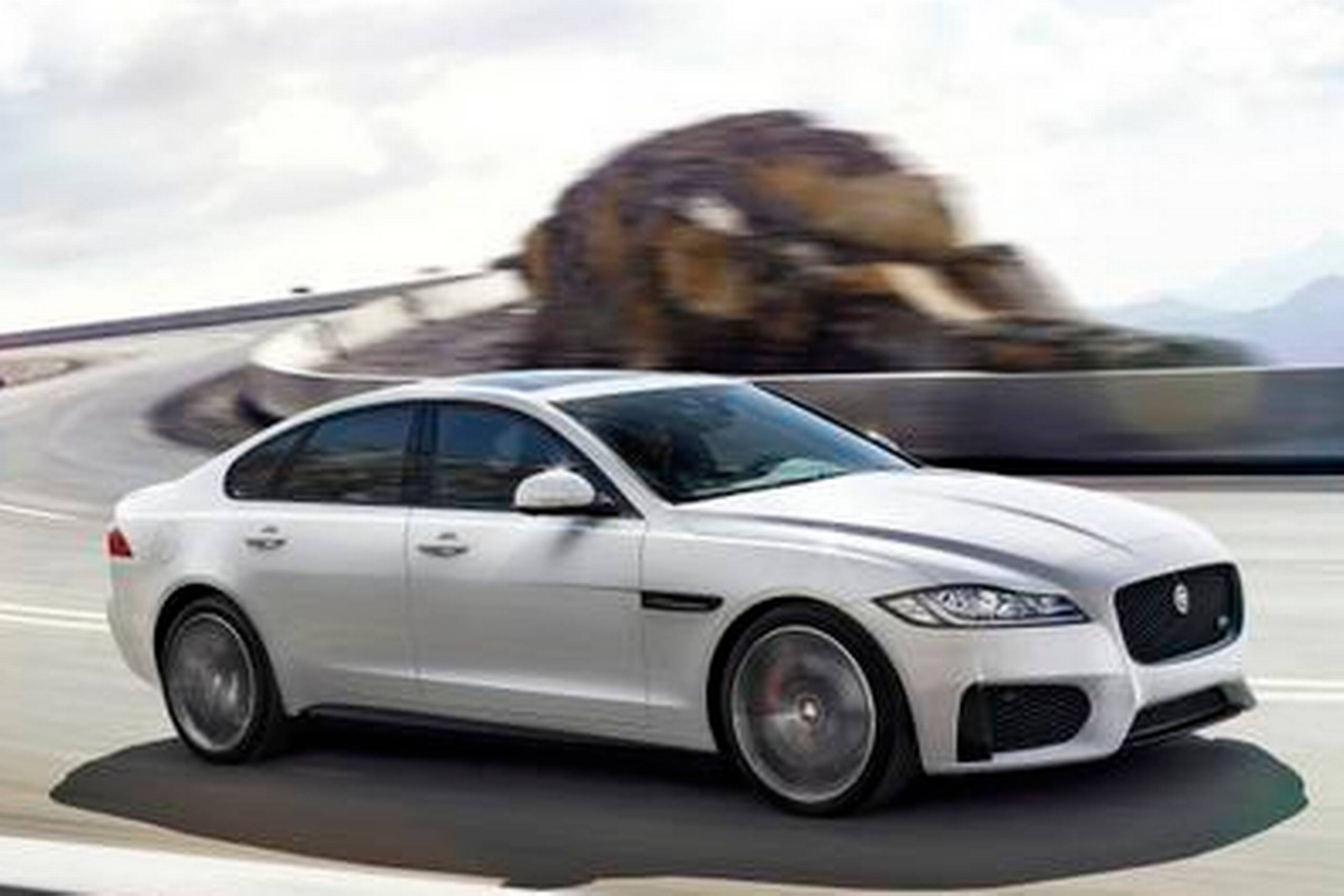 Jaguar XF er et alternativ til BMW 5-serie og Audi A6. Formgivningen følger forgængeren, men er nænsomt opdateret. Fotos: Jaguar