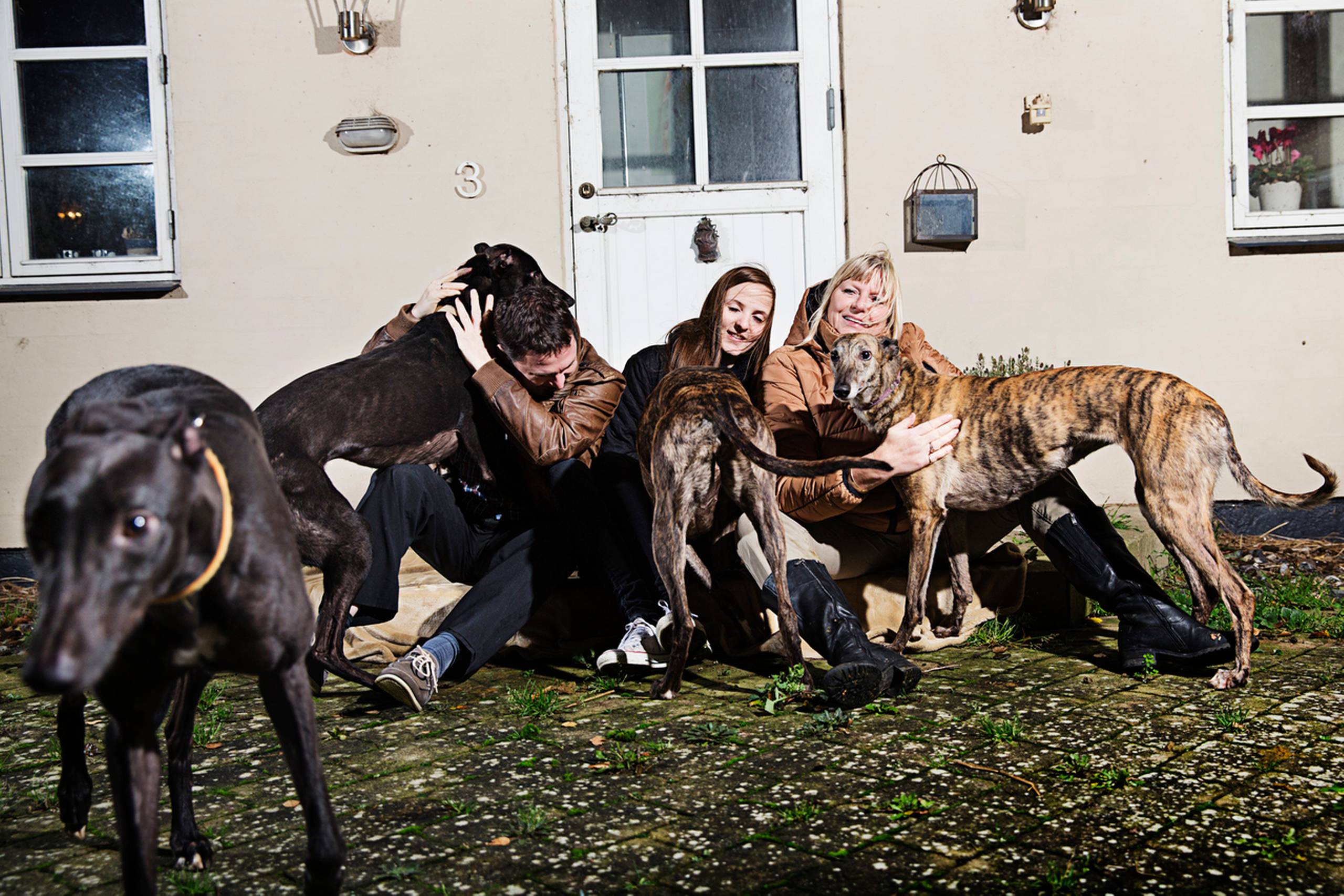 Heidi og Jesper Føhns har femten væddeløbshunde, her sammen med deres datter Laura på 17 år og fire af deres hunde, Holly, Molly, Indie og Toby.