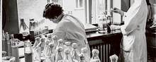 Svampekulturer med penicillin fra slutningen af 1940’erne, hvor Løvens Kemiske Fabrik byggede en hel ny fabrik til produktion af penicillin i Ballerup ved København. I dag ligger LEO Pharmas hovedsæde samme sted.  Foto: LEO Pharma Historical Archives and Museum