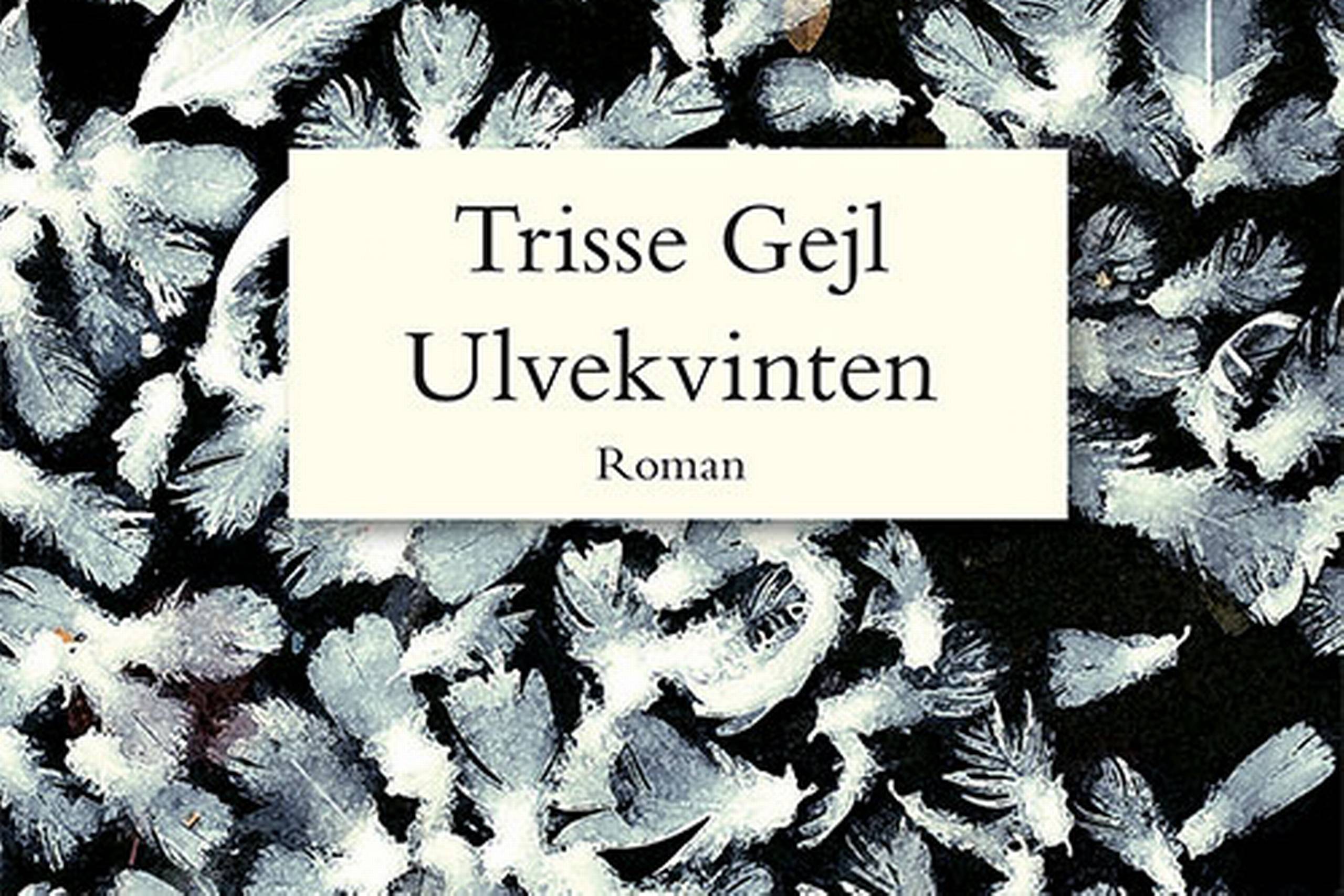 Trisse Gejl skriver vidunderligt og så medrivende, at man suges ind i romanen, som sad man og bingewatchede drama på Netflix. Hun veksler raffineret mellem de tre synsvinkler i kapitlerne og særligt Frederiks uskyldige blik på fataliteterne er så fint beskrevet, at det ikke er til at bære.
