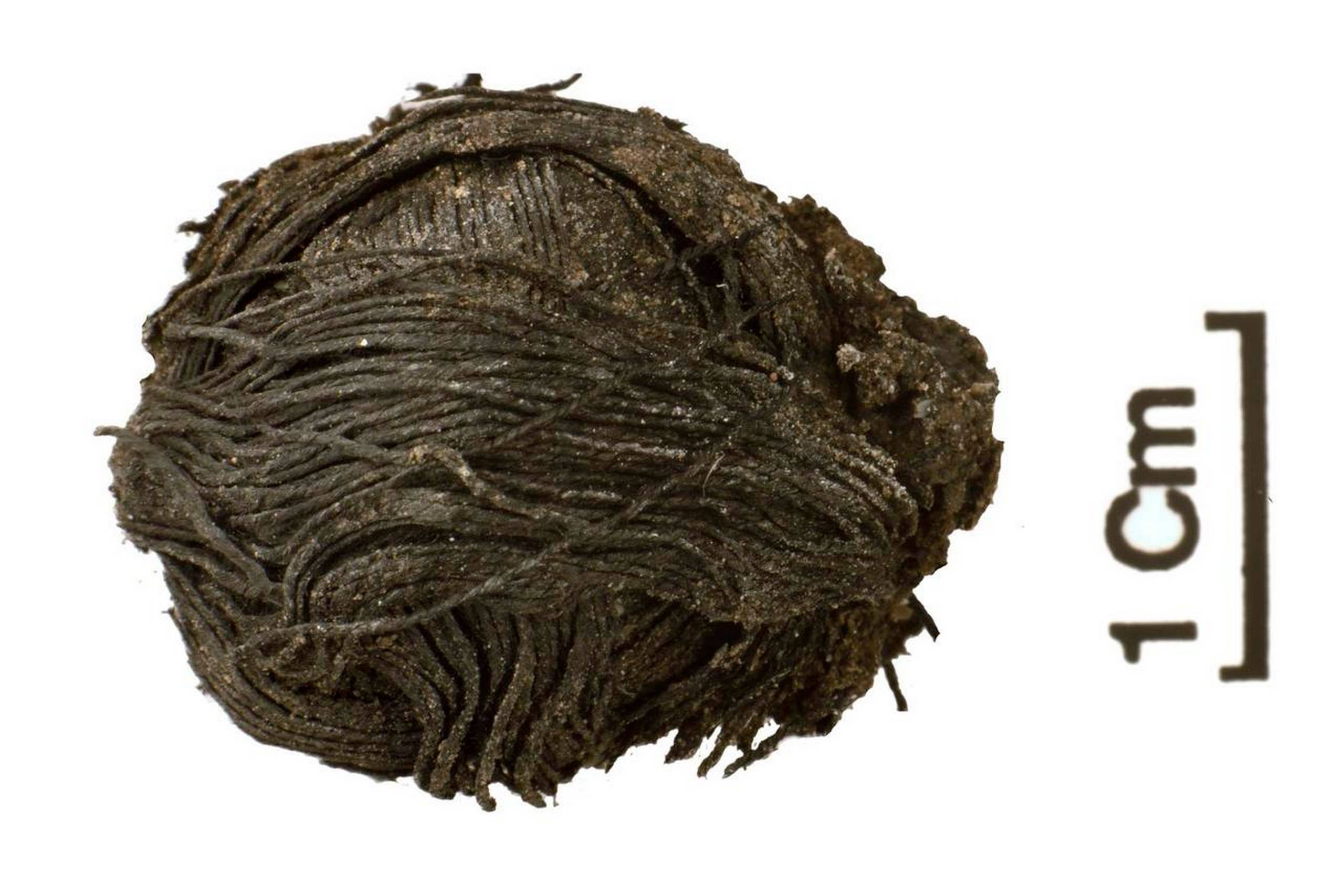 Garnnøglet fra Must Farm består af den fineste tråd af fibre, der kan stamme fra brændenælde eller hør. Foto: Cambridge Archaeological Unit