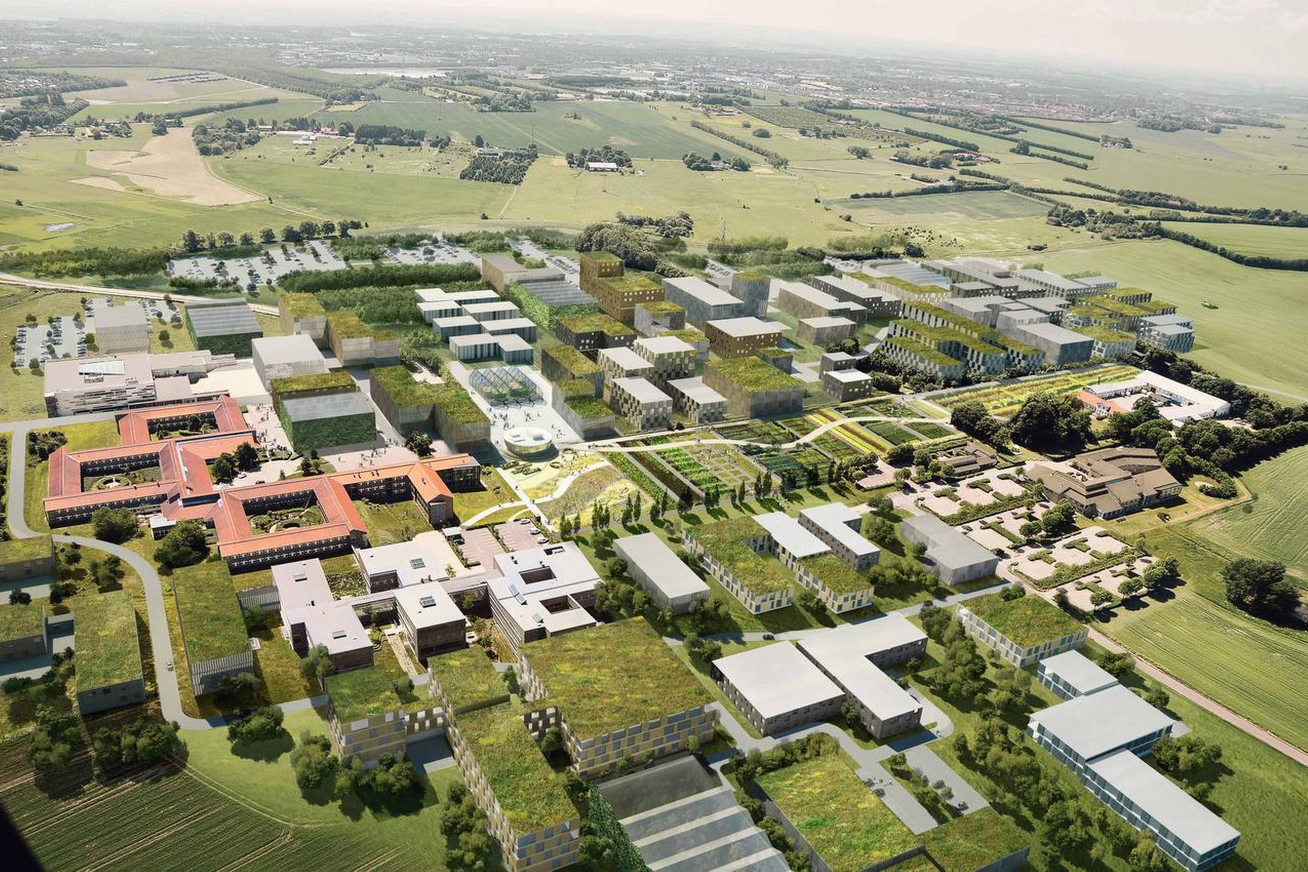 Agro Food Parks areal skal ifølge planen tidobles til et 300.000 etagemeter stort fødevareteknologisk innovationscenter. Foto: Agro Food Park