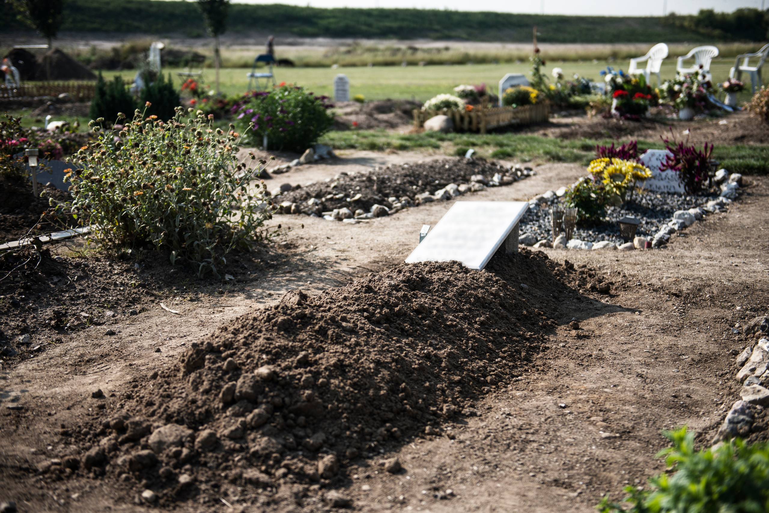 Hærværket på den muslimske gravplads på Brøndbyøstervej blev begået mod dette gravsted, der tilhører en mand født i 1946. Efterfølgende ryddede personalet på gravpladsen i Brøndby grundigt op og fjernede blodet og det afskårne grisehoved. Foto: Casper Holmenlund Christensen