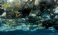 Plastikområdet i havet mellem Hawaii og Californien er et klart bevis på, at plast sviner, og vi er nødt til at gøre noget ved det. Men det går forbavsende langsomt, mener danske virksomheder. Foto: NOAA/AP