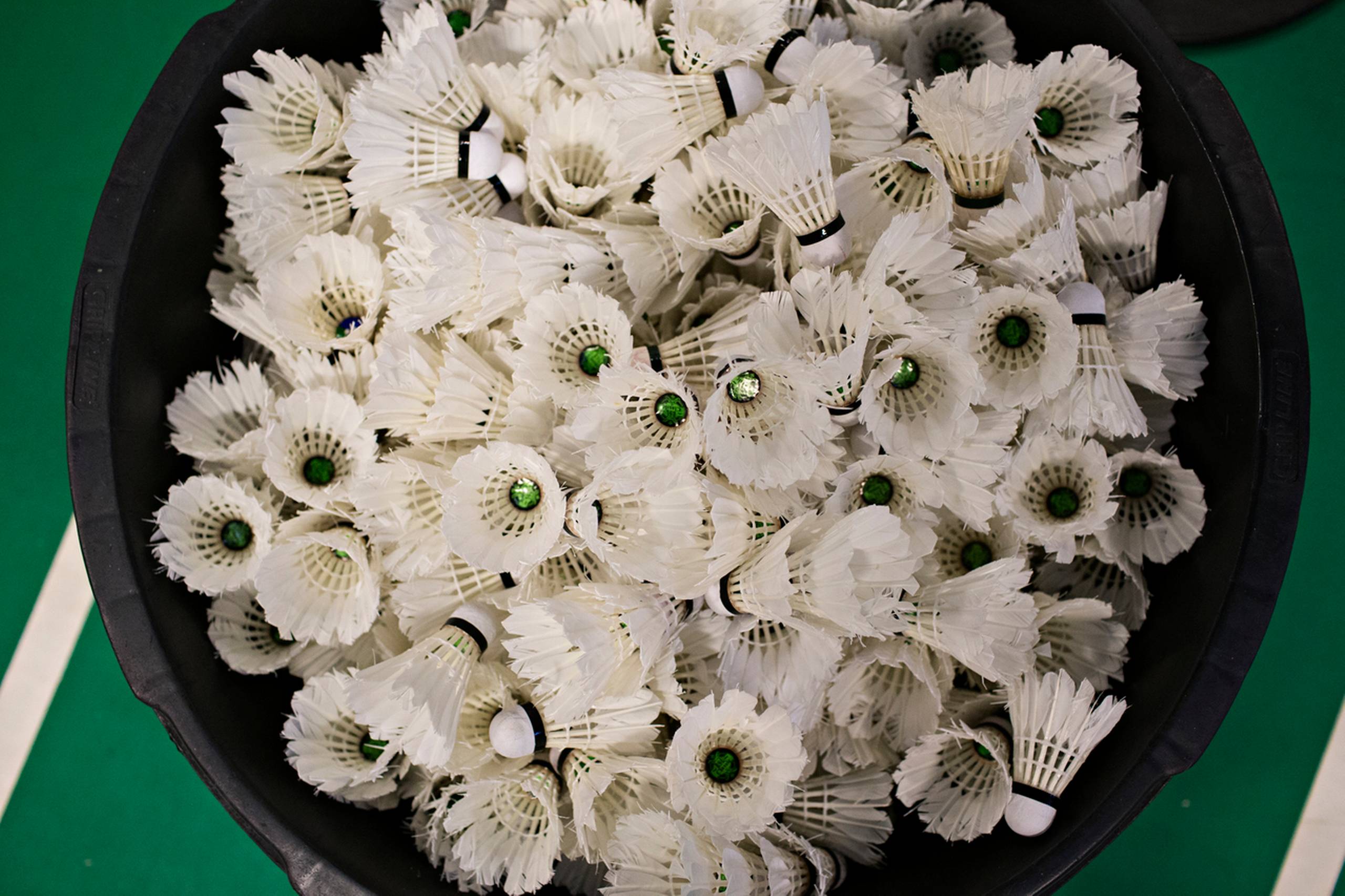 Foto: Tobias Nicolai