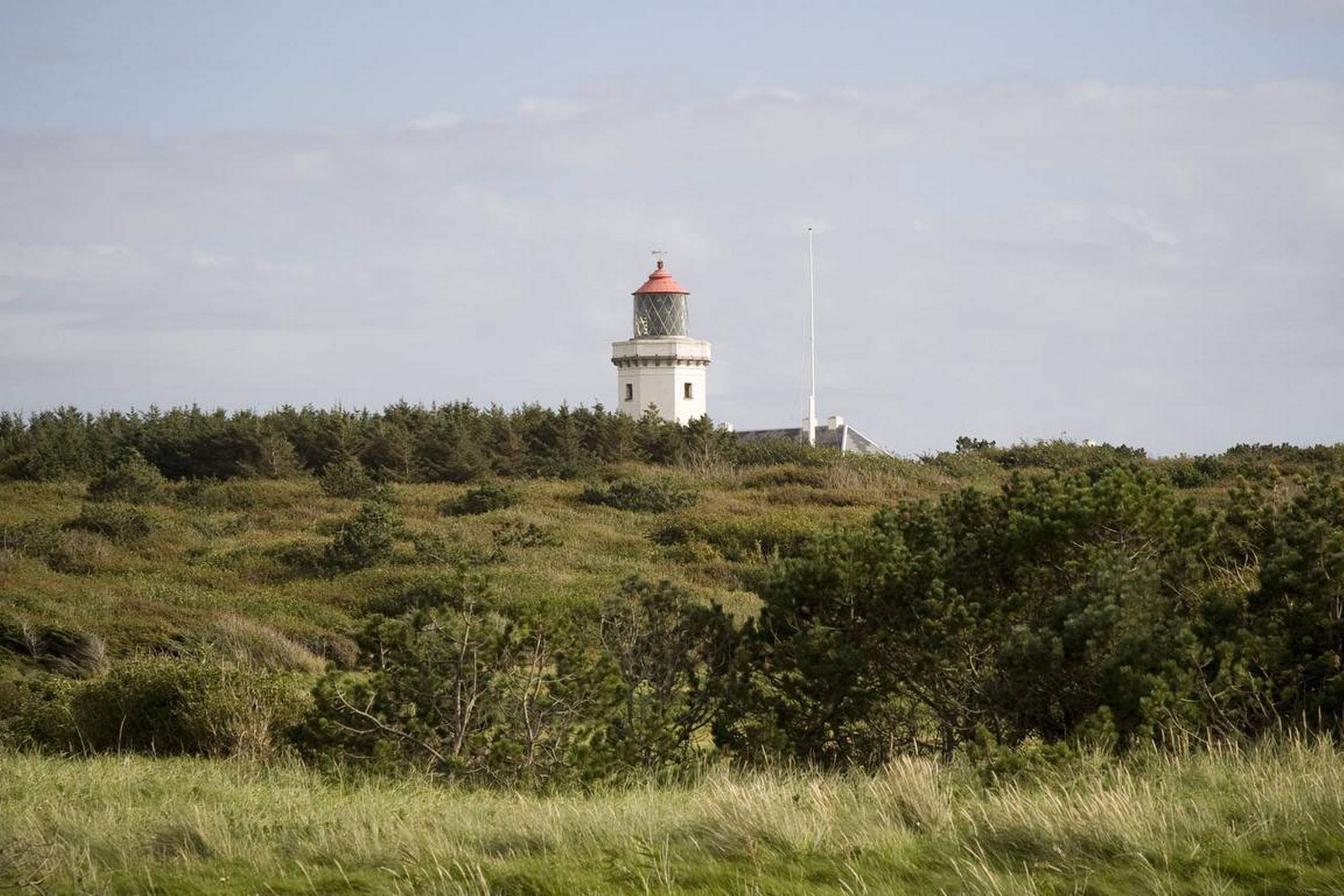 Ugens Margeuritrute ender i Hanstholm. Byens fyrtårn kan ses på lang afstand over de åbne klitlandskaber. Foto: Martin Bjørn/TGT