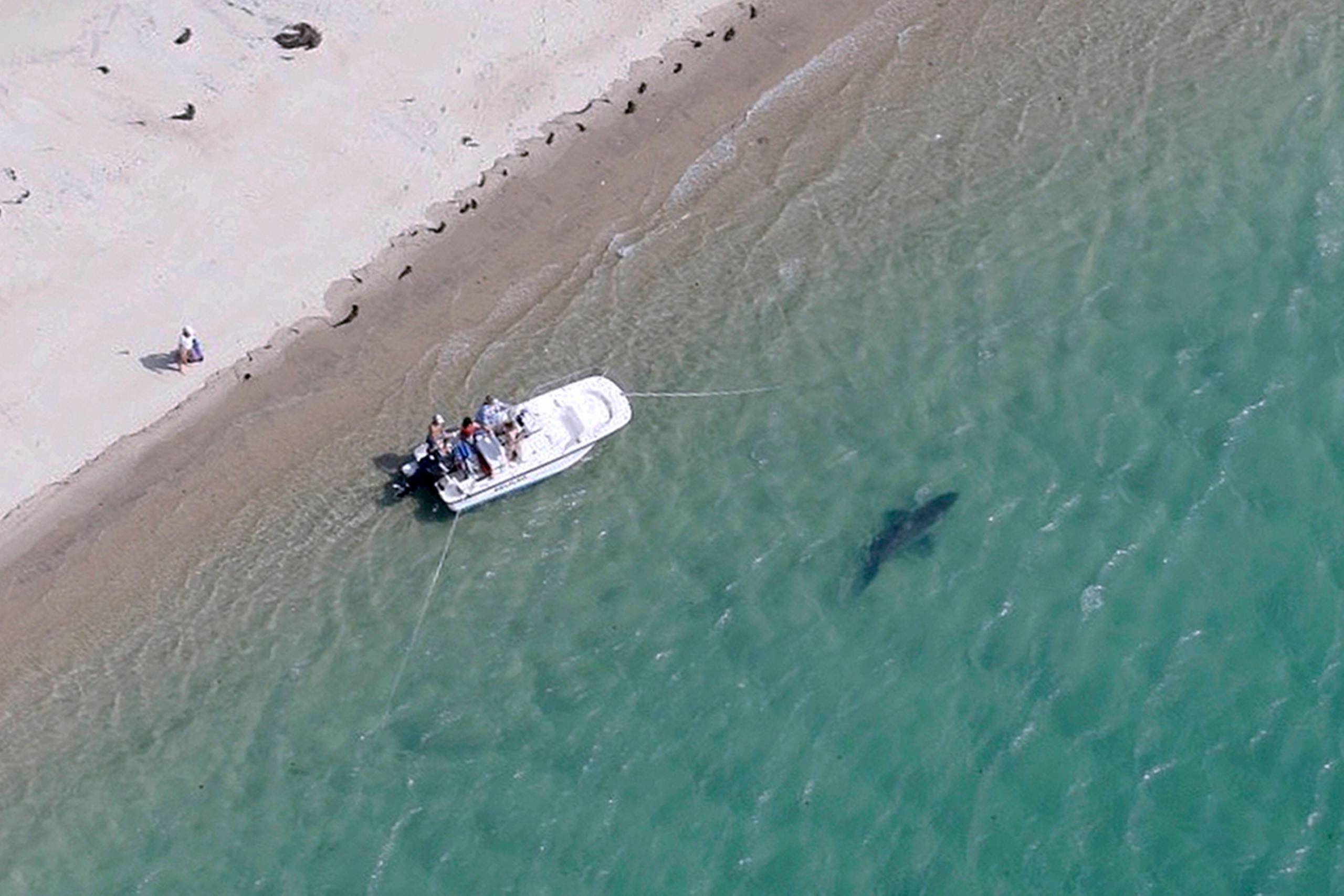 Foto: Wayne Davis/AP