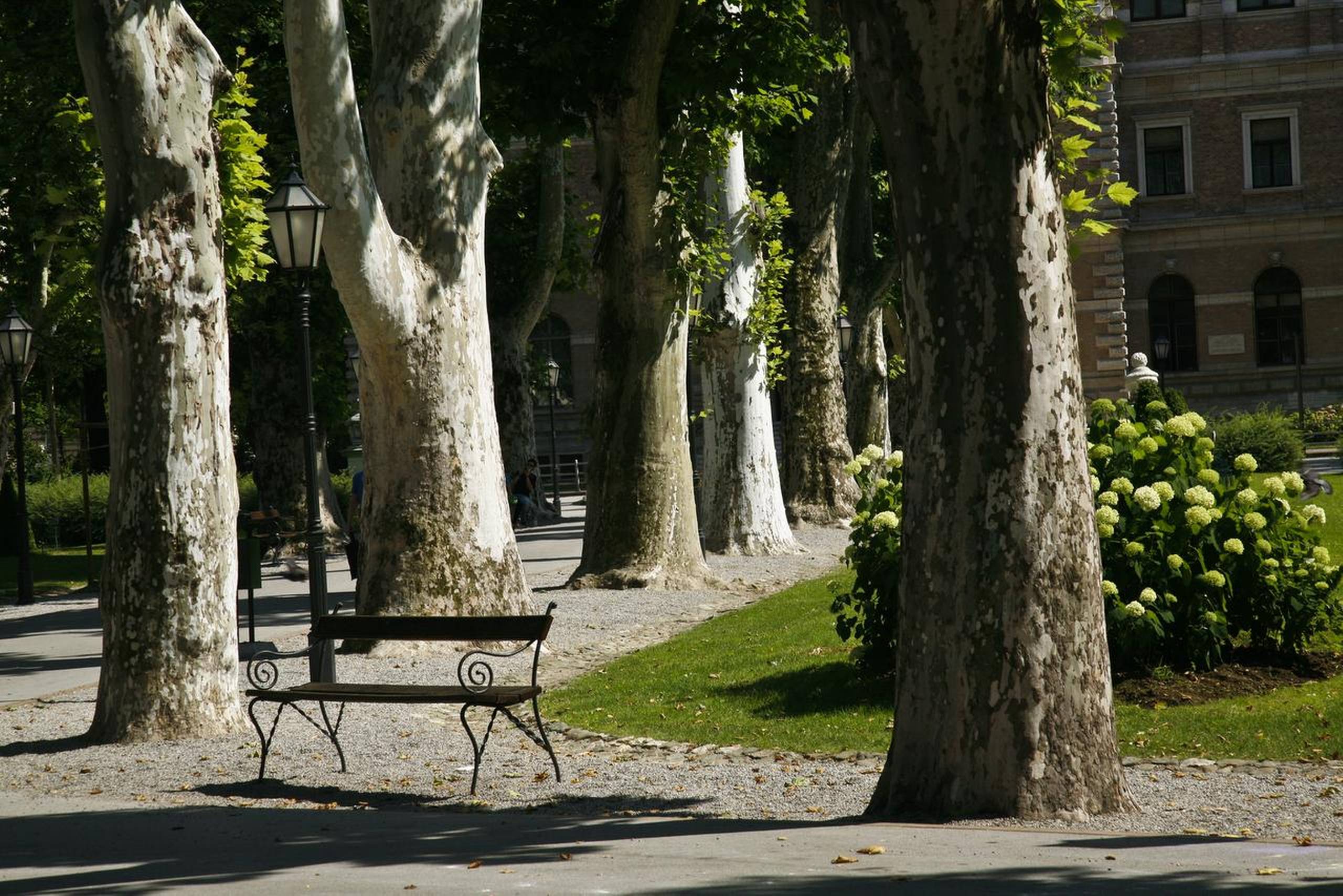 Der er gode muligheder for at nyde roen mellem træer og smukke bygninger i Den Grønne Hestesko. Foto: Monika Dinek /TGT