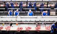 Coronakrisen koster milliarder af kroner for danske slagterier og svineproducenter. Sektorens indtjening i år og næste år bliver markant lavere end hidtil antaget, viser nye prognoser.
Foto: Gregers Tycho
