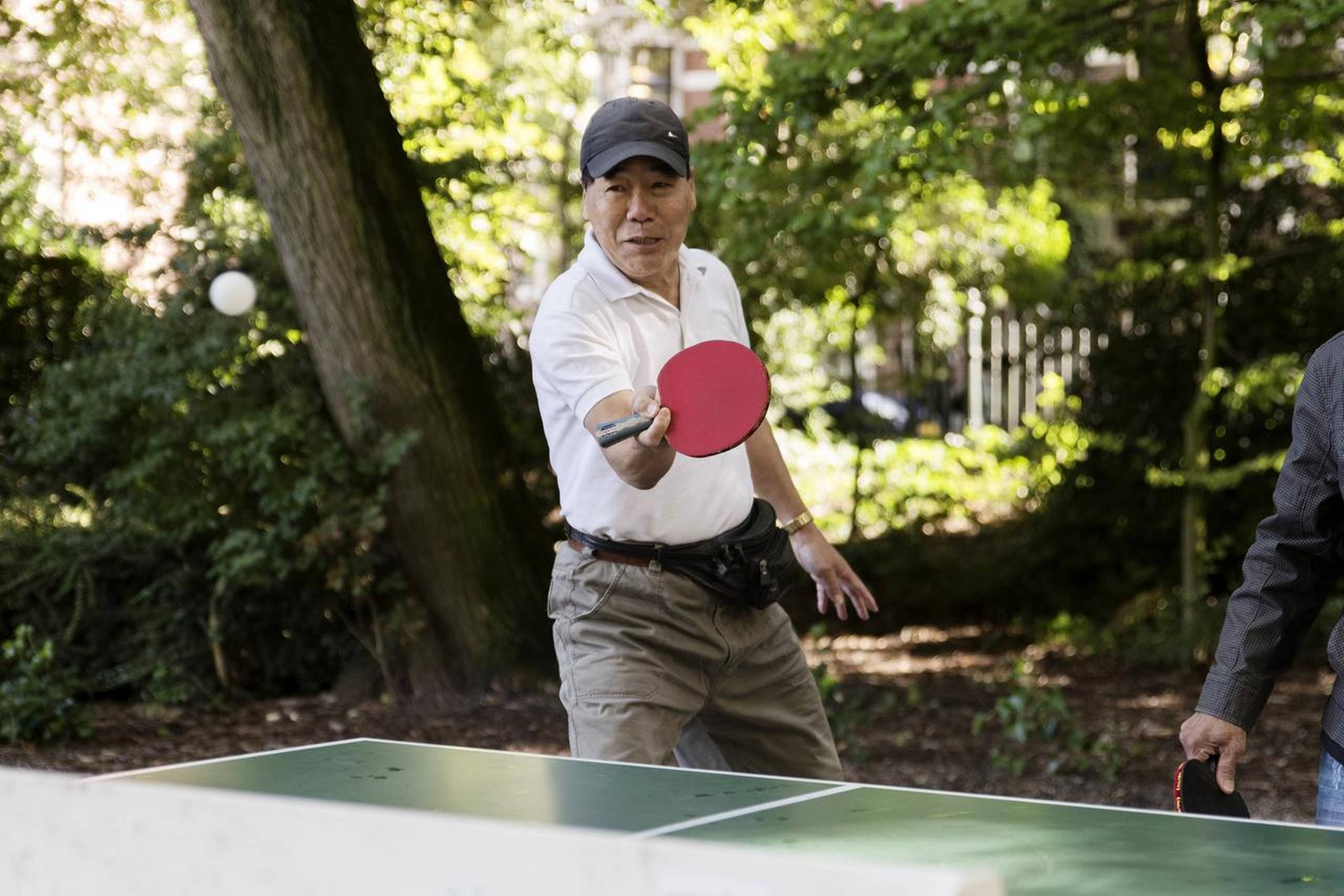 Sarphati-parken er til sjov og afslapning under træernes skygge. Mad til en picnic kan man købe i en af Albert Cuyp-markedets mange madboder. Foto: Sofie Amalie Klougart /TGT
